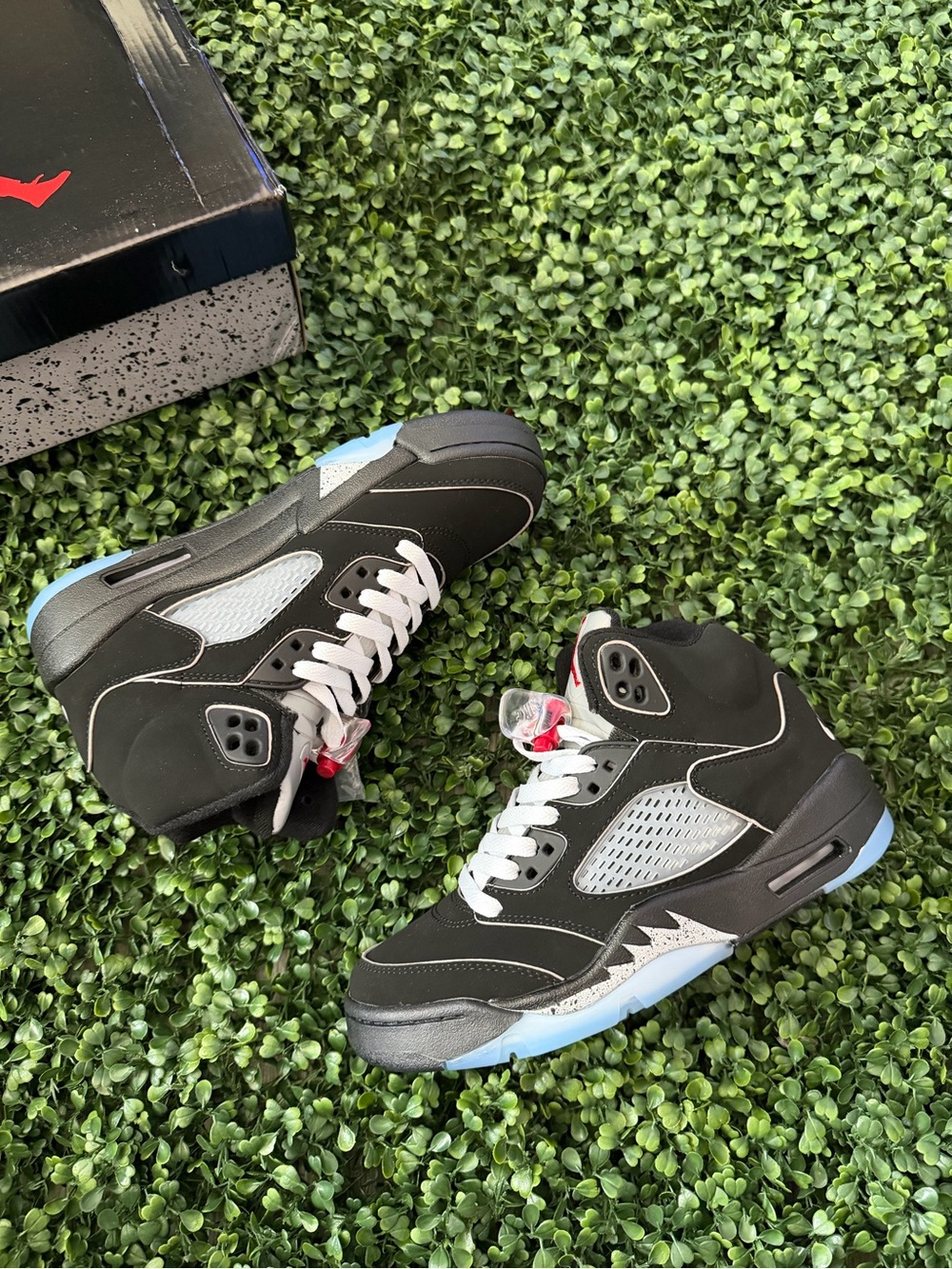 Jordan 5 ( Metallics )